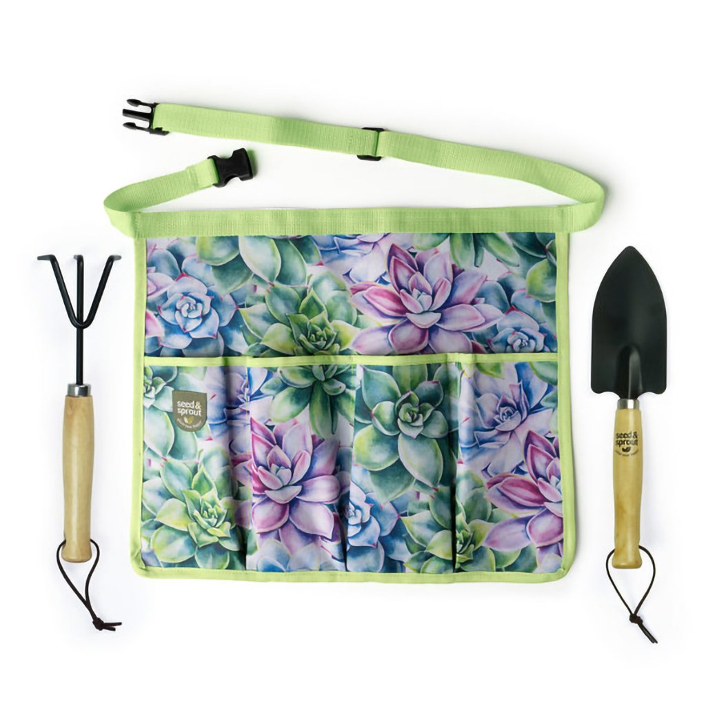 DM Merchandising  Seed & Sprout 3-Piece Gardening Set in Simply Succulent