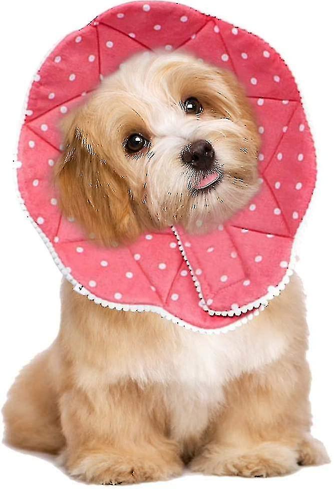 Comfortable Post-surgery Collar For Cats And Dogs， Robust， Waterproof， Resistant To Scratches And Bites， Easy To Clean， With Adjustable Clip