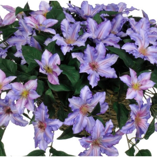 Faux Purple Clematis Hanging Basket