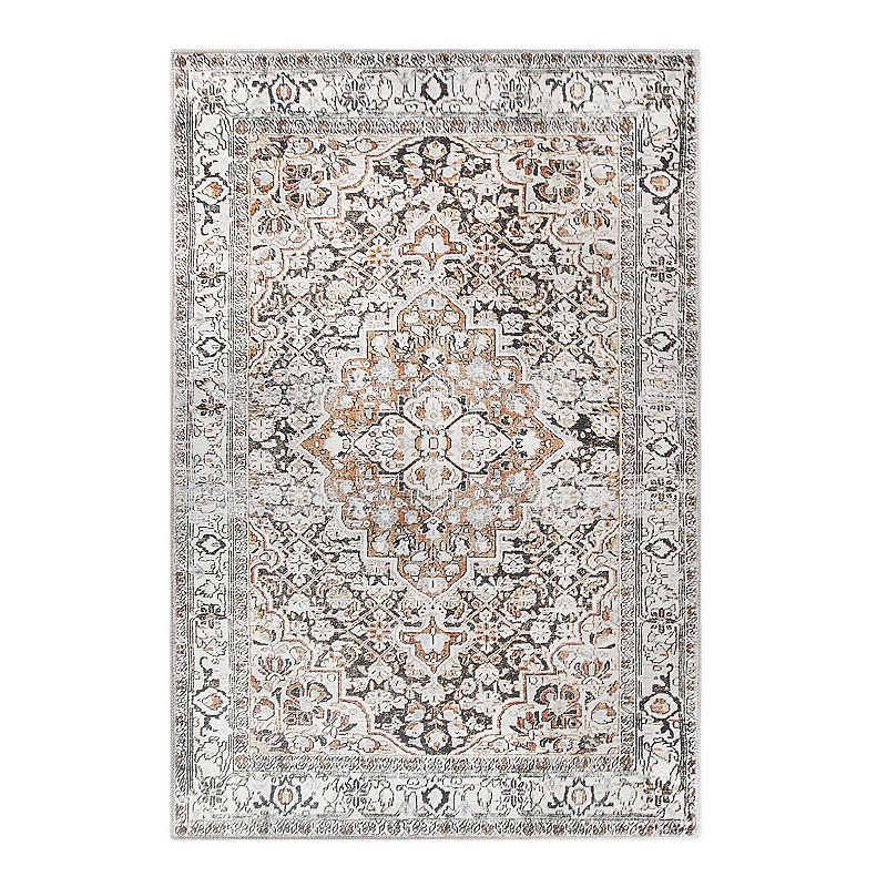 Superior Geometric Floral Medallion Indoor Area Rug