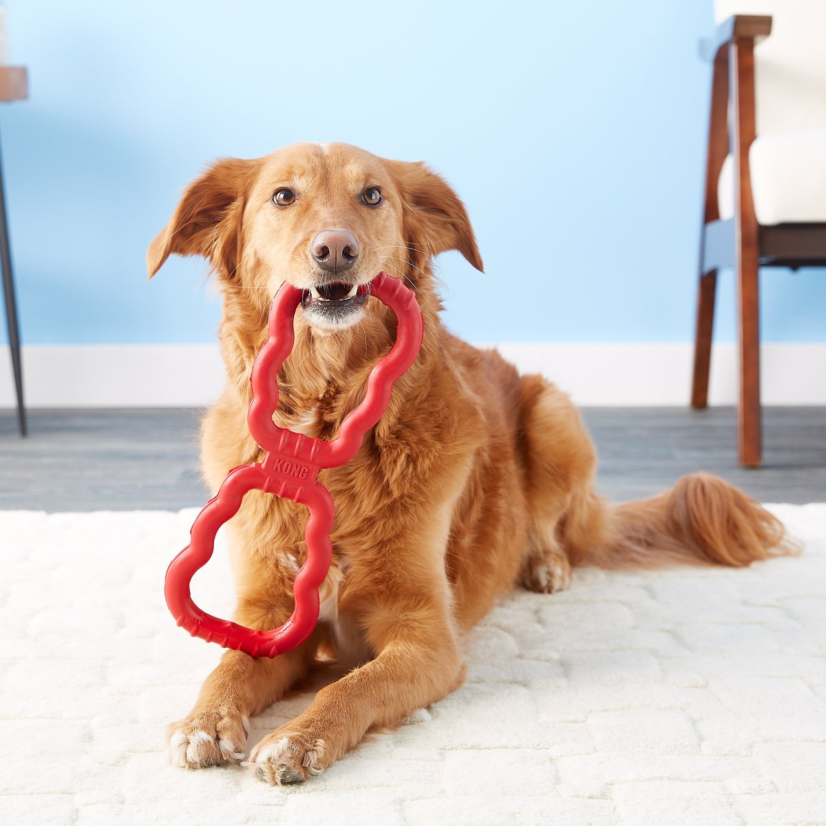 KONG Tug Dog Toy