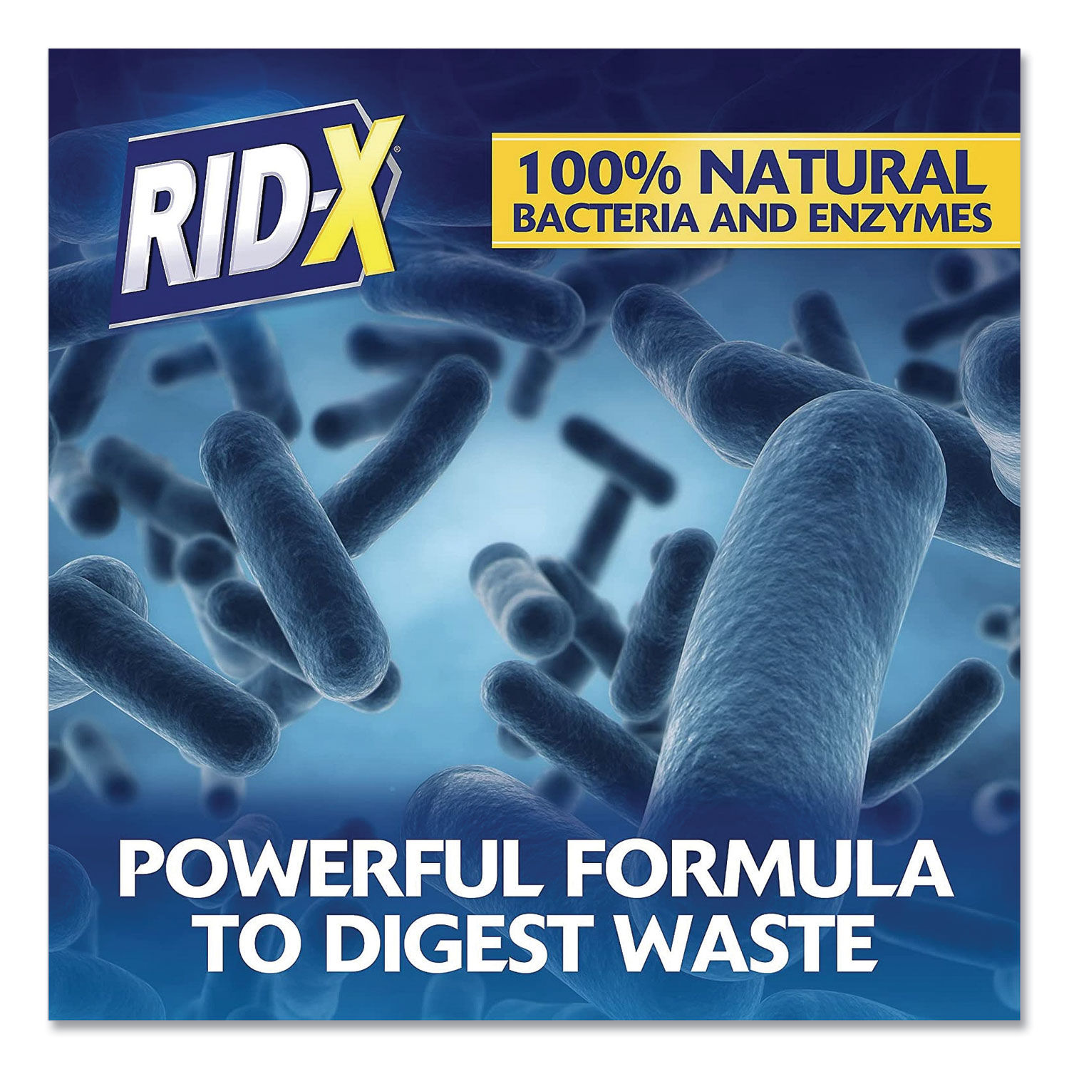 Septic System Treatment Concentrated Powder by RID-Xandreg; RAC80307