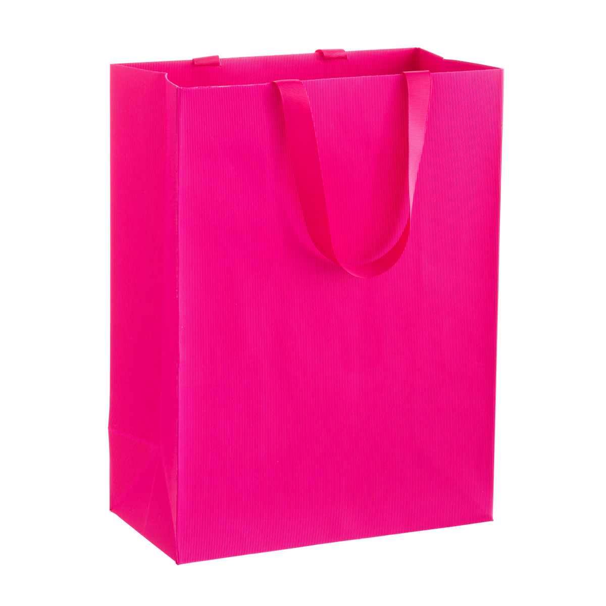 Large Gift Bag