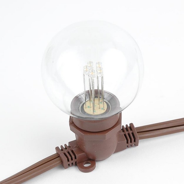 Novelty Lights Globe Outdoor String Lights With 25 In line Sockets Brown Wire 25 Feet