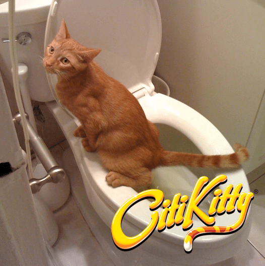 CitiKitty Cat Toilet Training Kit