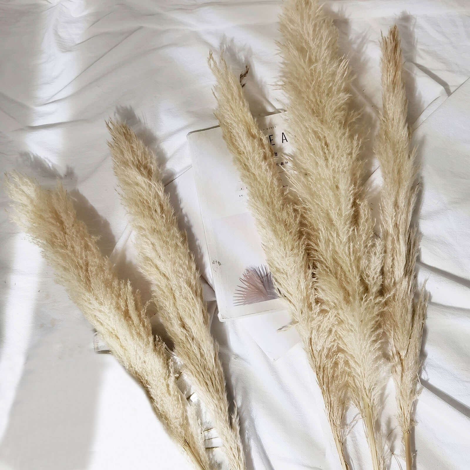 6 Stems Wheat Tint Dried Natural Pampas Grass Plant Sprays 49