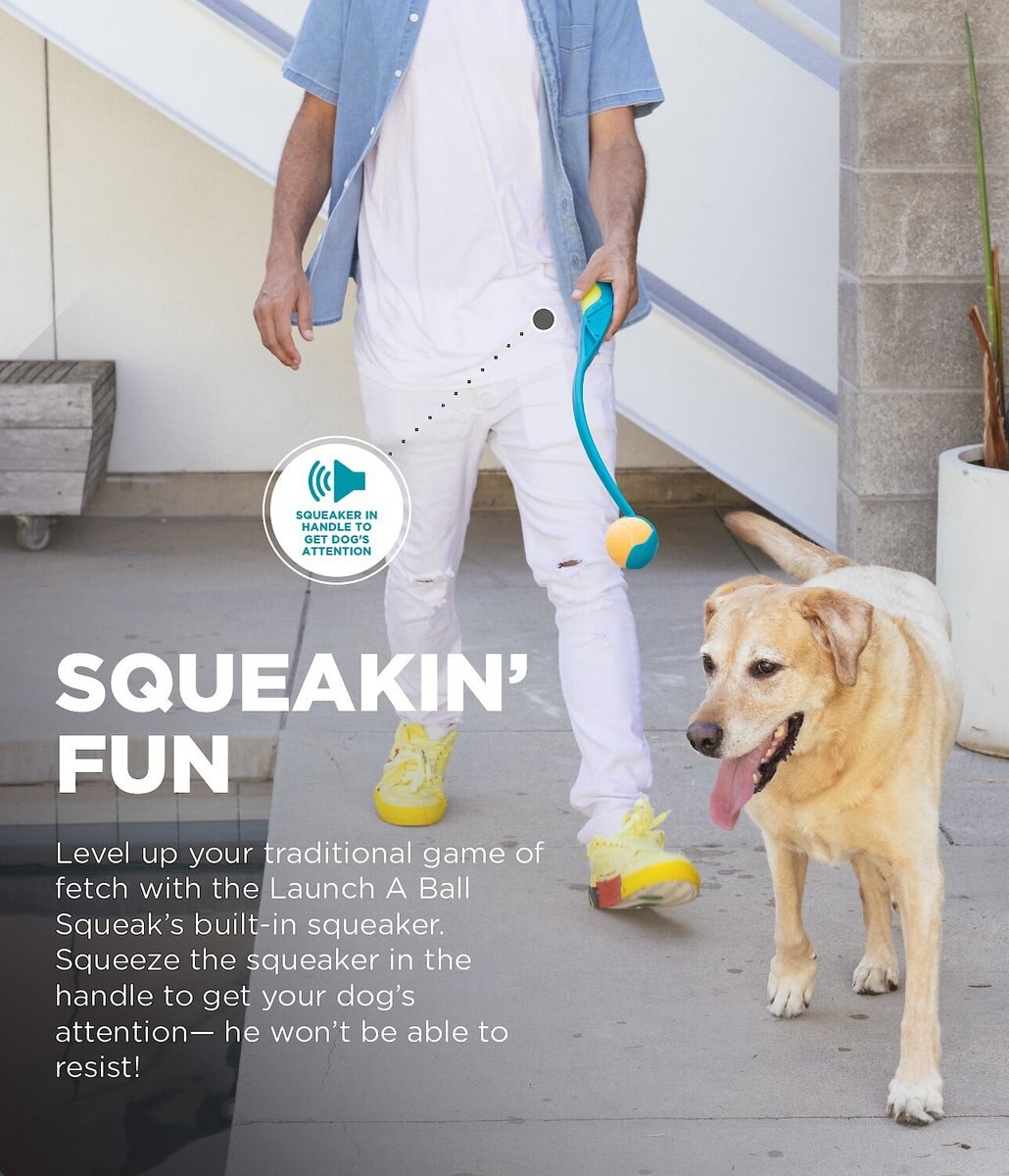 Outward Hound Launch A Ball Squeak Interactive Tennis Ball Launcher Dog Toy