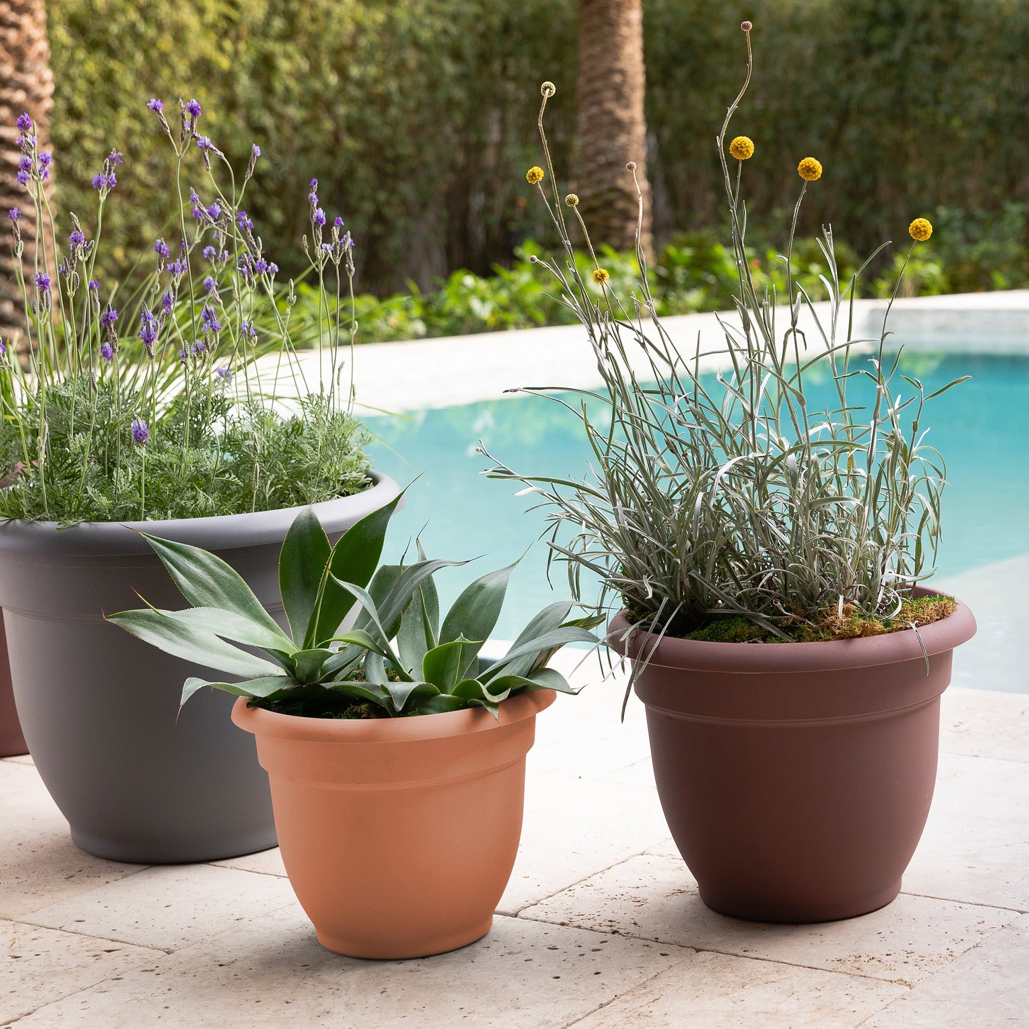 Bloem Ariana Self Watering Planter: 12" - Muted Terra - Durable Resin Pot, For Indoor and Outdoor Use, Self Watering Disk Included, Gardening, 3 Gallon Capacity