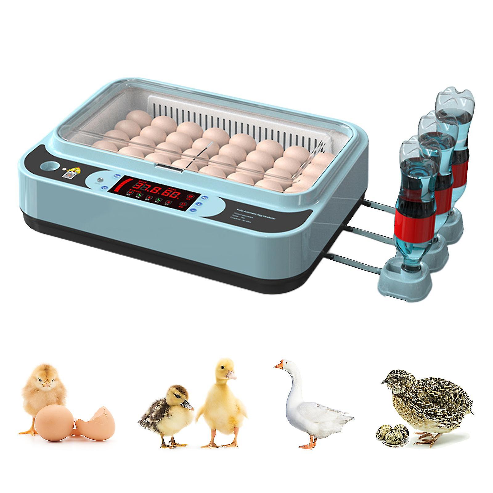 Egg Intor With Humidity Display， Egg R， Automatic Egg Turner， For Hatng Ckens