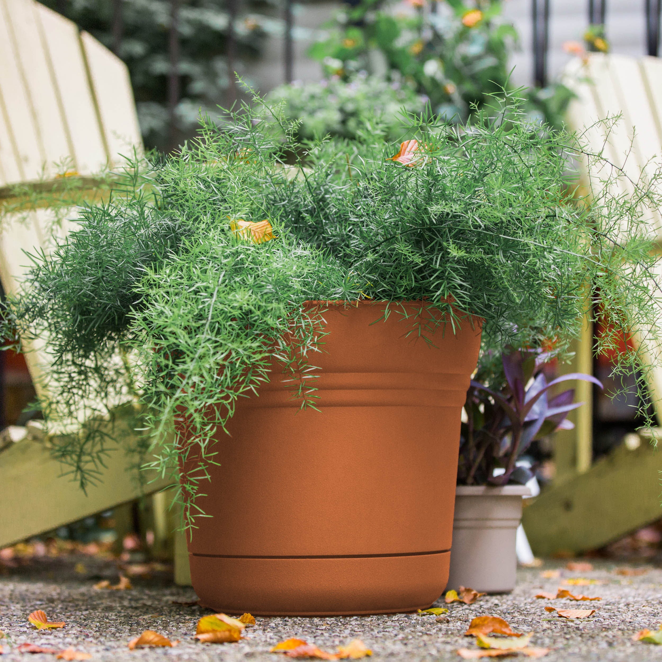 Bloem Saturn Planter W/ Saucer 5 x 4.5 Plastic Round Terracotta