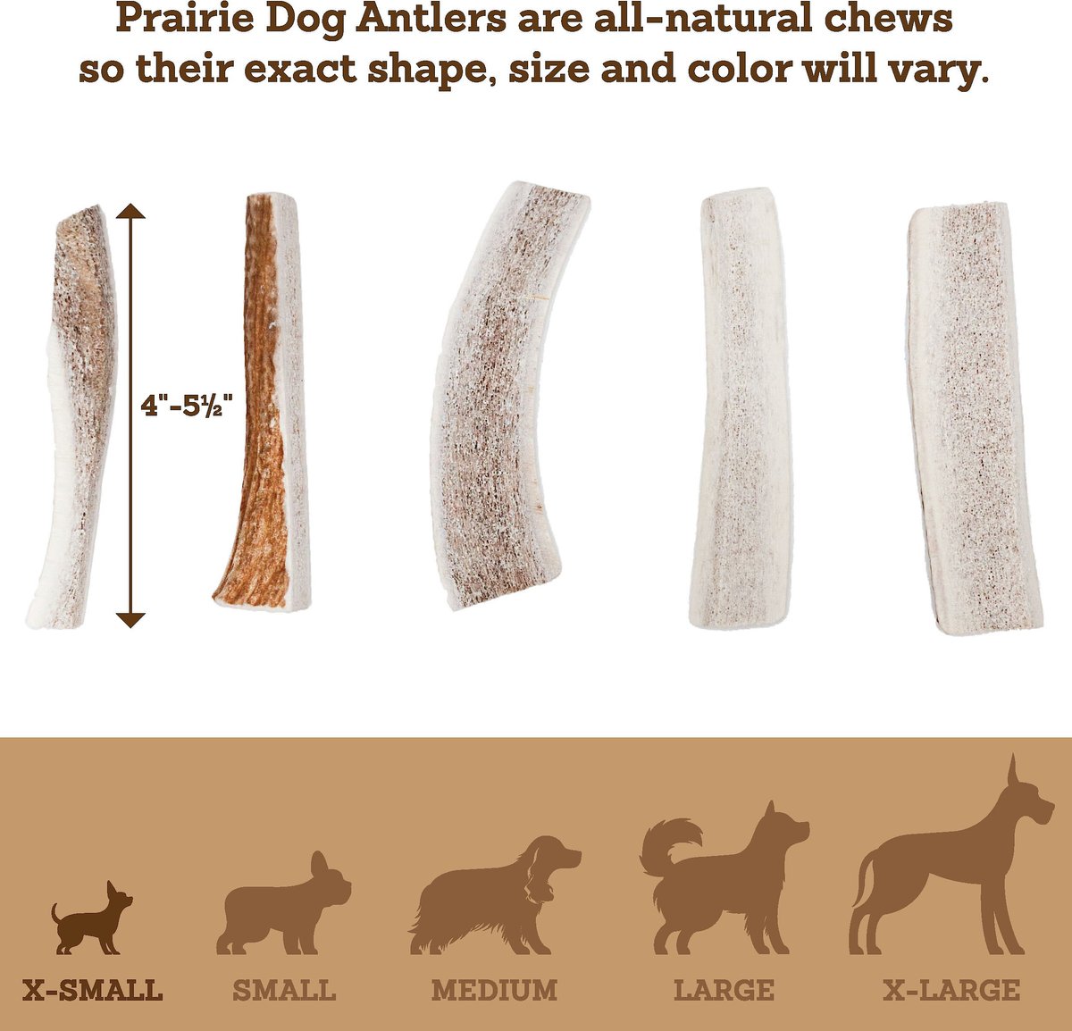 Prairie Dog Split Elk Antler Dog Chews， 4 - 5.5 in