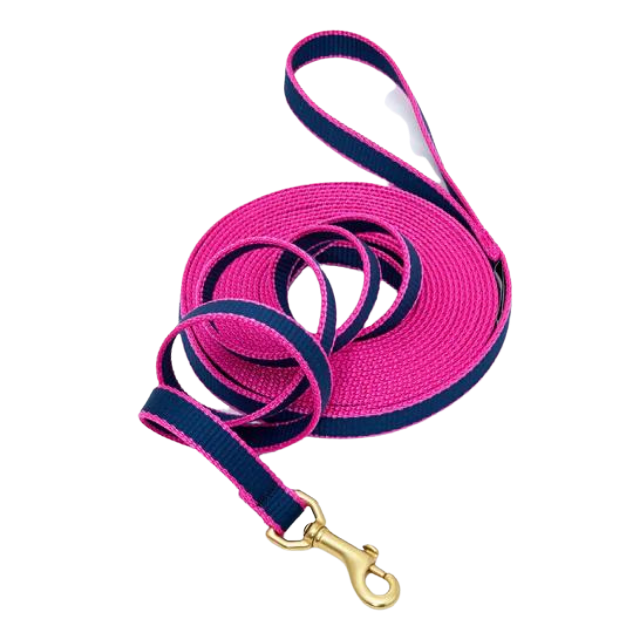 Training Leash | Navy & Pink