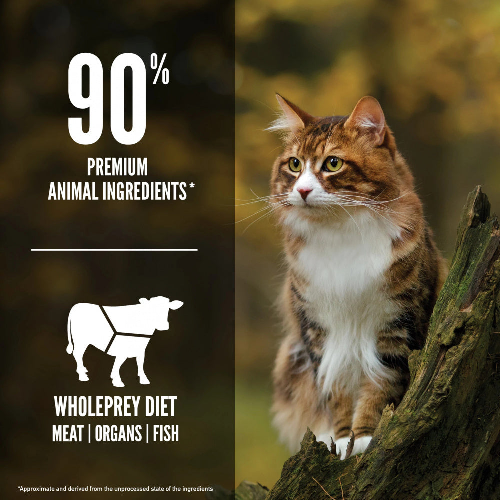 Grain Free Regional Red Dry Cat Food;