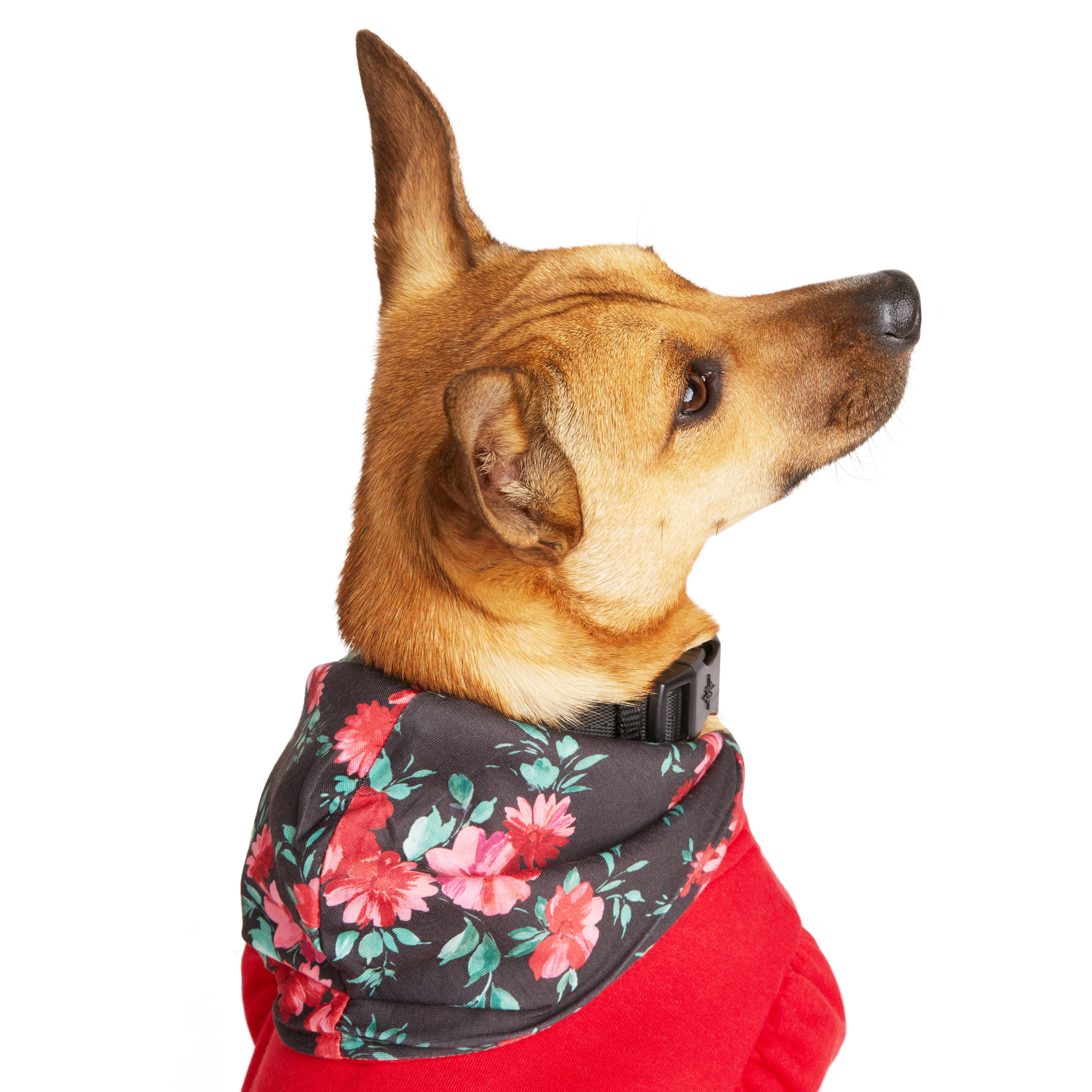 YOULY Rose Dog Hoodie， XX-Small