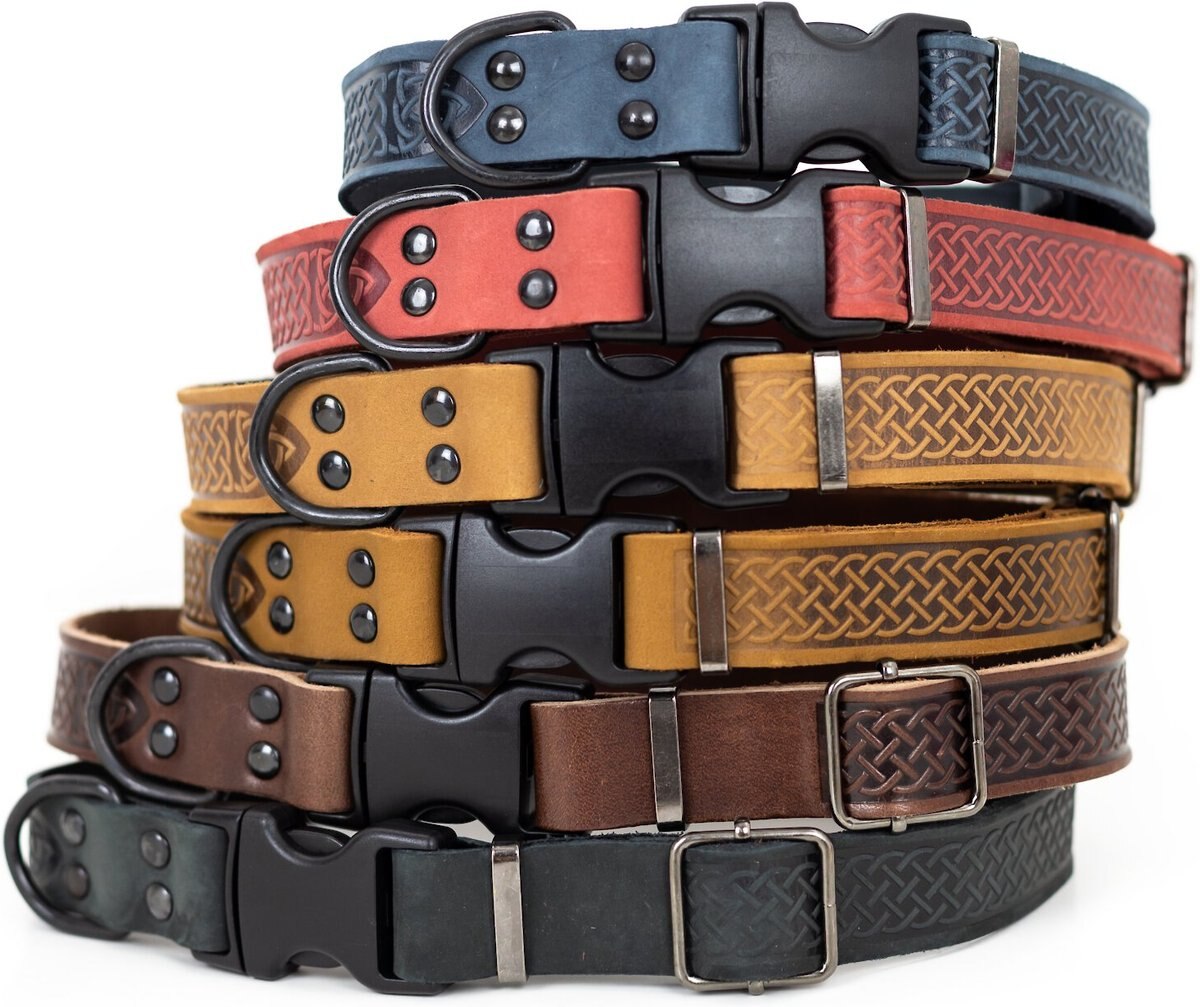 Euro-Dog Celtic Sport Style Luxury Leather Dog Collar