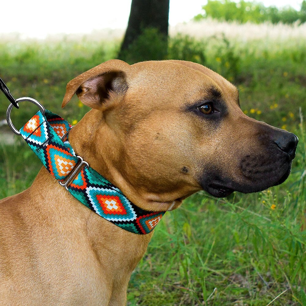 CollarDirect Tribal Aztec Nylon Martingale Dog Collar