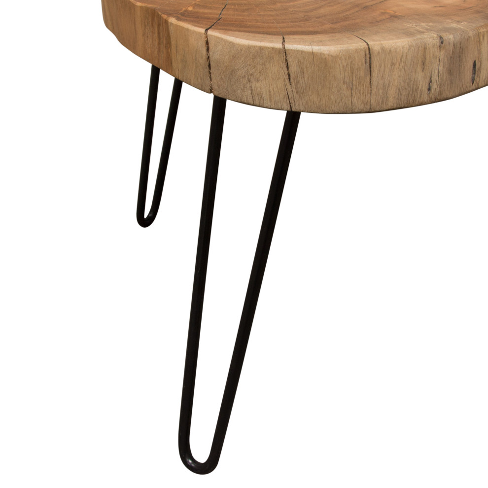 Joss Natural Acacia Live Edge Rectangle Cocktail Table  Black Hairpin Legs   Rustic   Coffee Tables   by Morning Design Group  Inc  Houzz