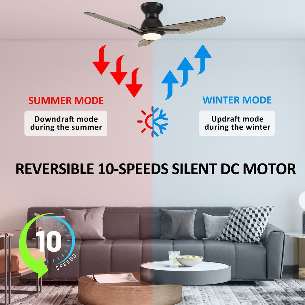 CARRO Tilbury 44 in Integrated LED IndoorOutdoor Black Smart Ceiling Fan with Light and Remote Works with AlexaGoogle Home