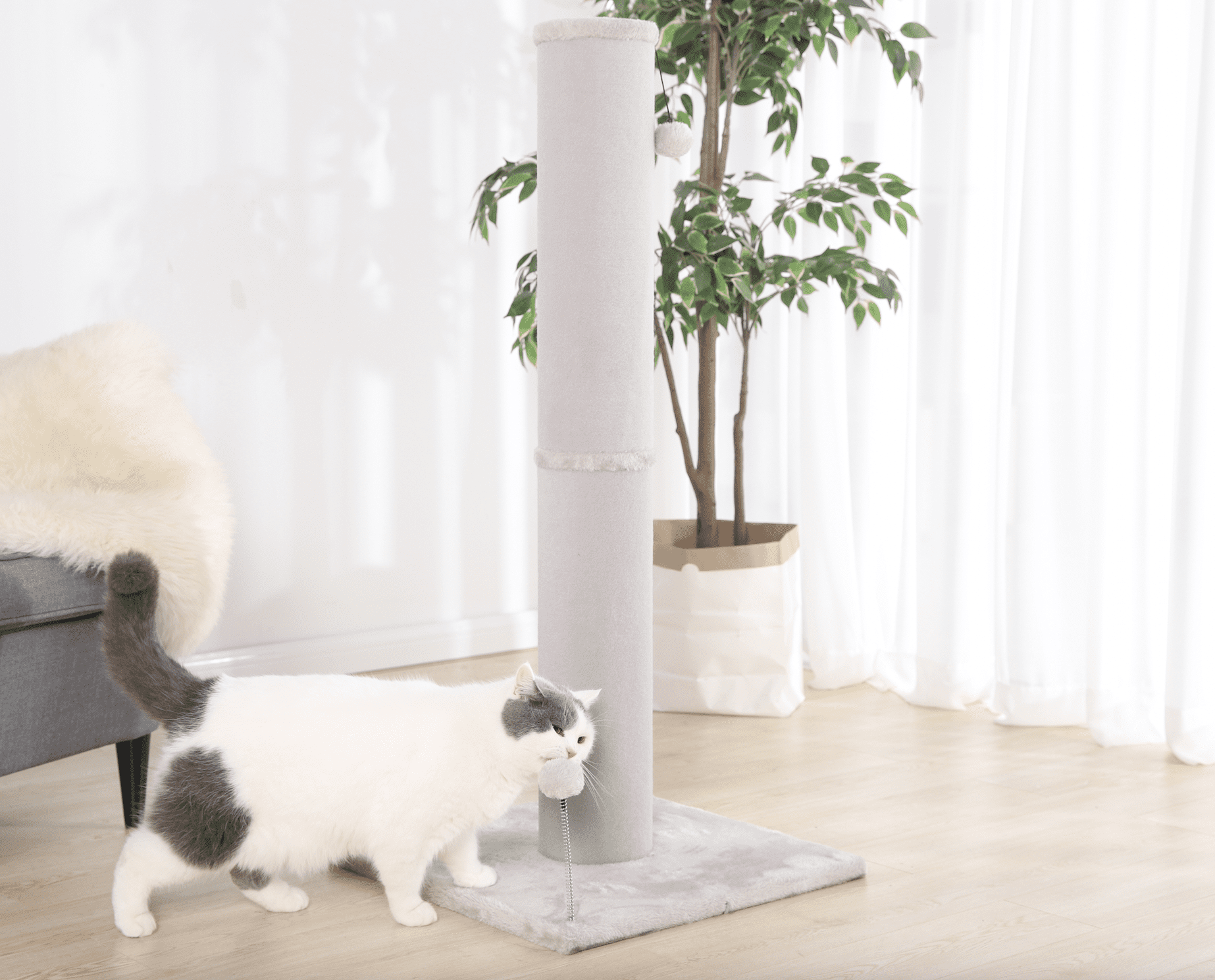 Vibrant Life Jumbo Carpet Cat Scratching Post， Gray， 42