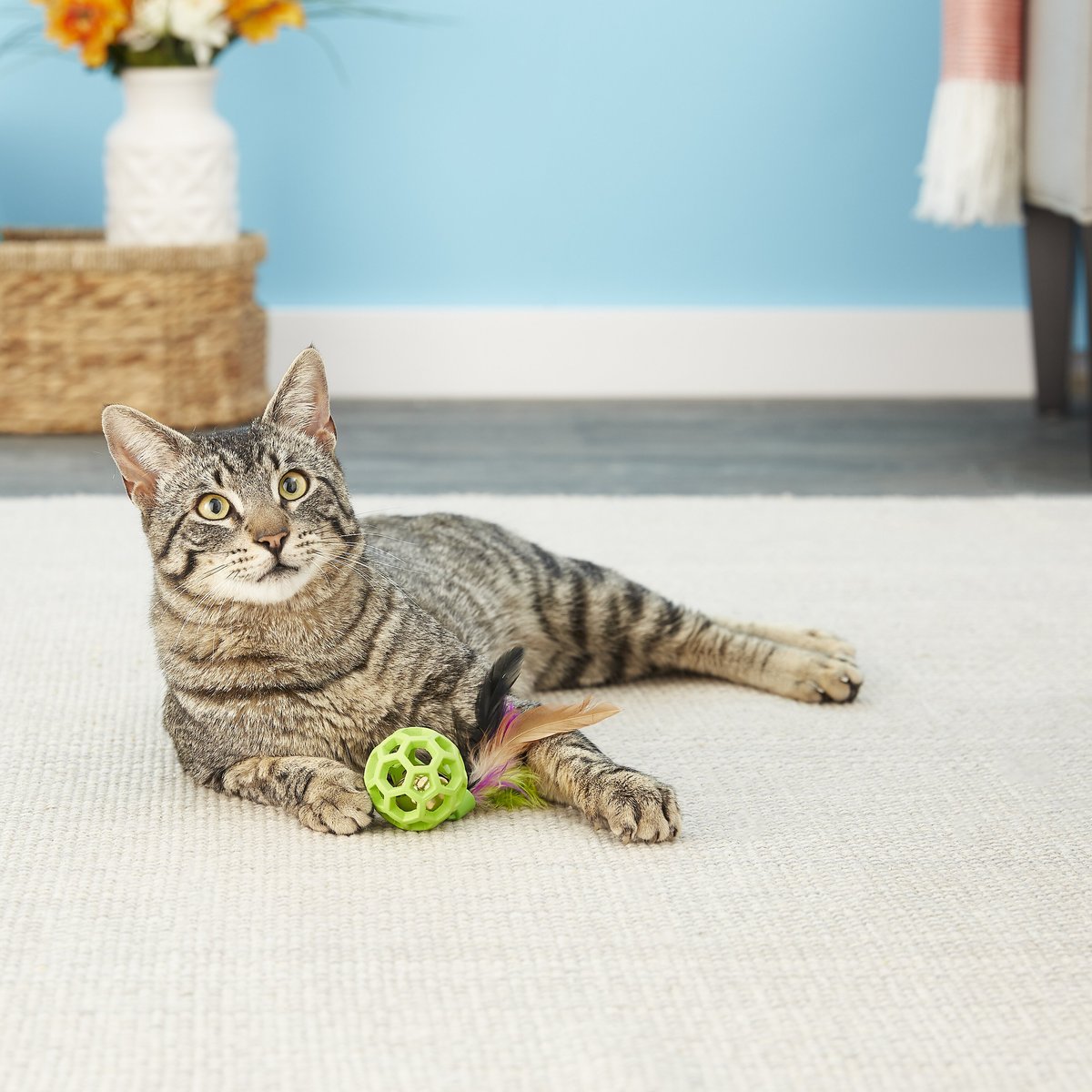 JW Pet Cataction Feather Ball with Bell Cat Toy