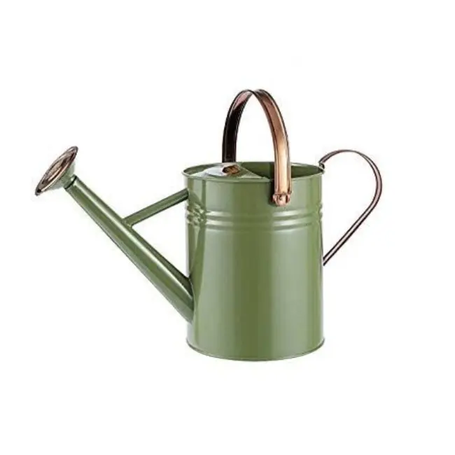 Handmade Flower and plant irrigation can green color pleasant designed watering can garden plant water sprinkler