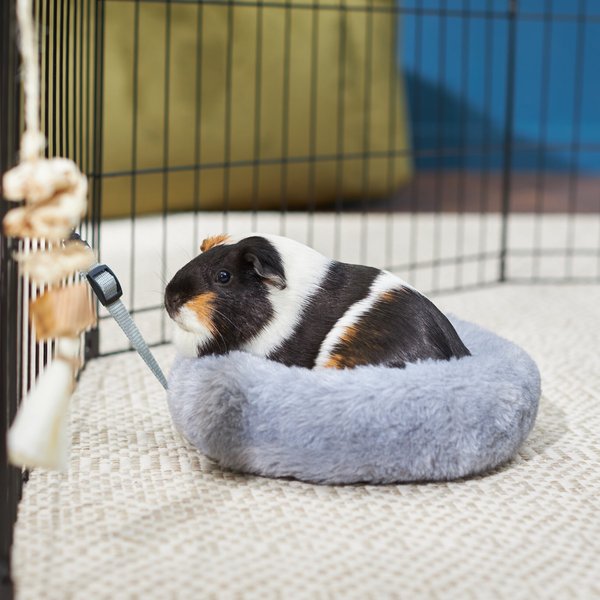 Frisco Plush Small Pet Snuggle Ball