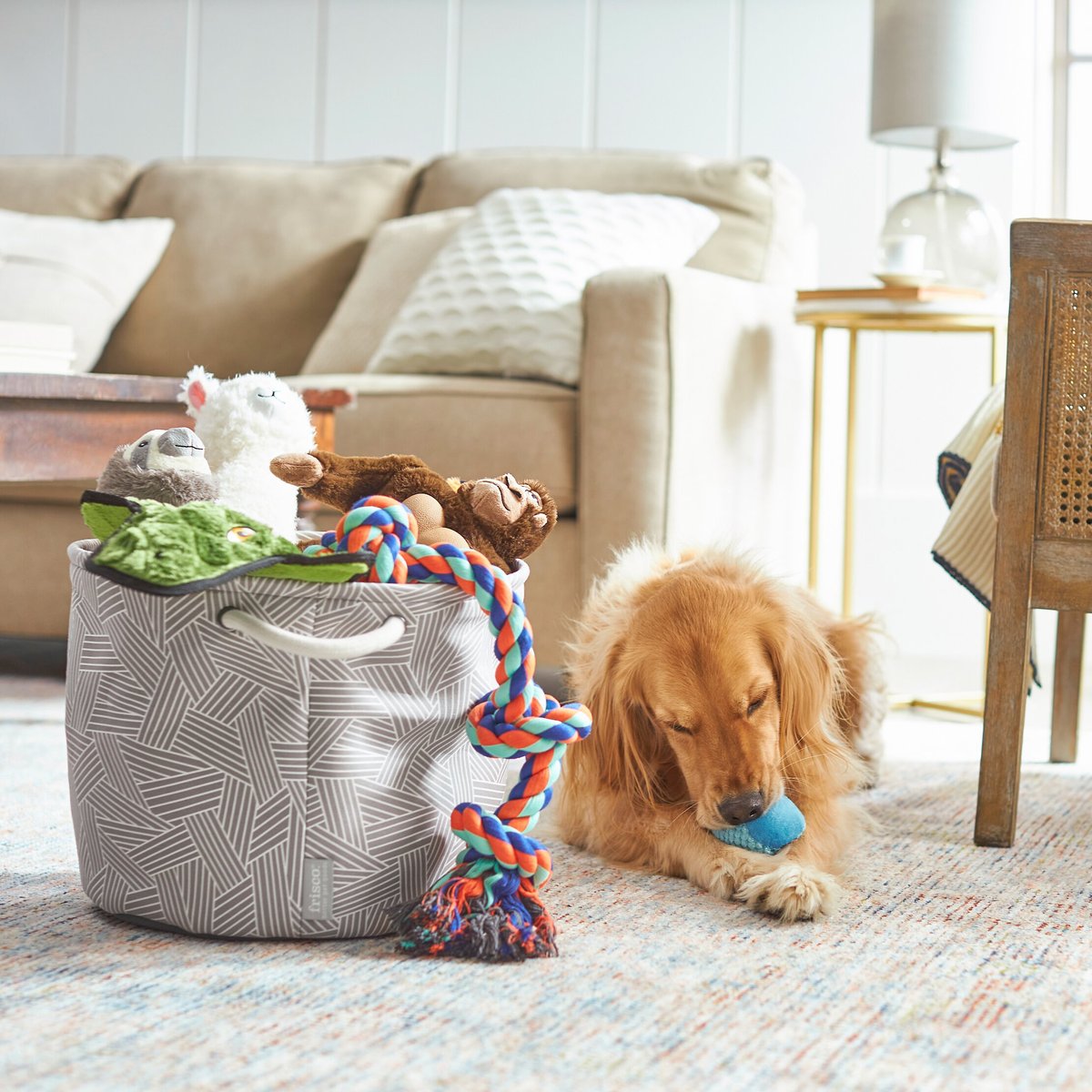 Frisco Round Collapsible Pet Toy Storage Bin， Gray Basket Weave