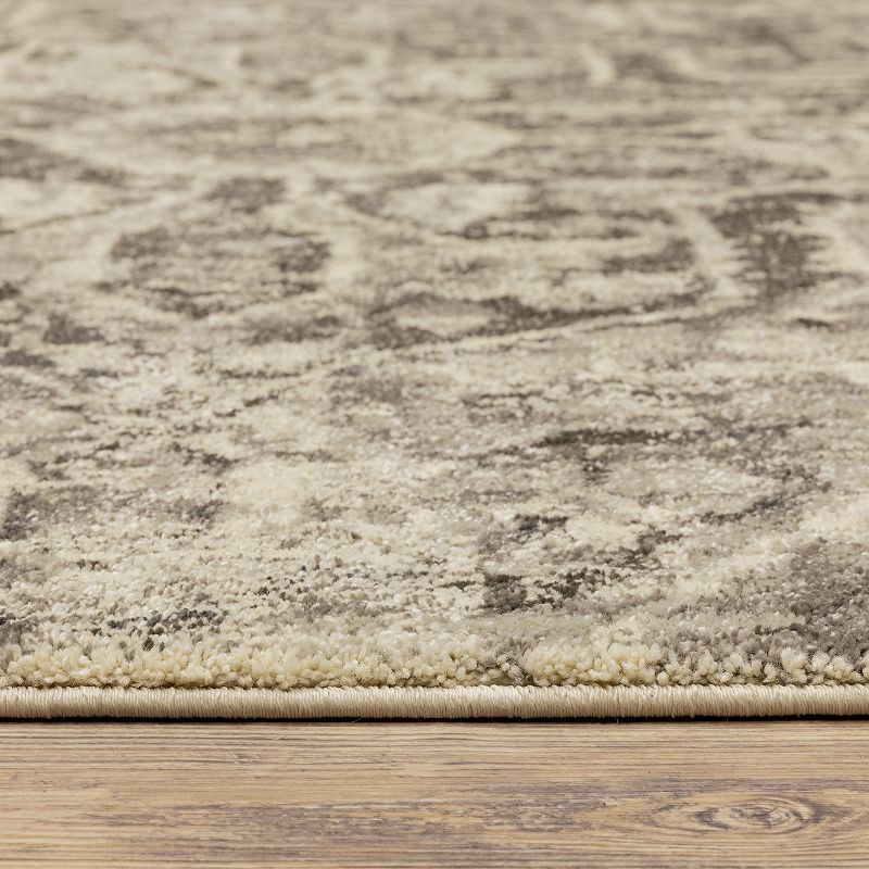 StyleHaven Franklin Faded Medallion Area Rug