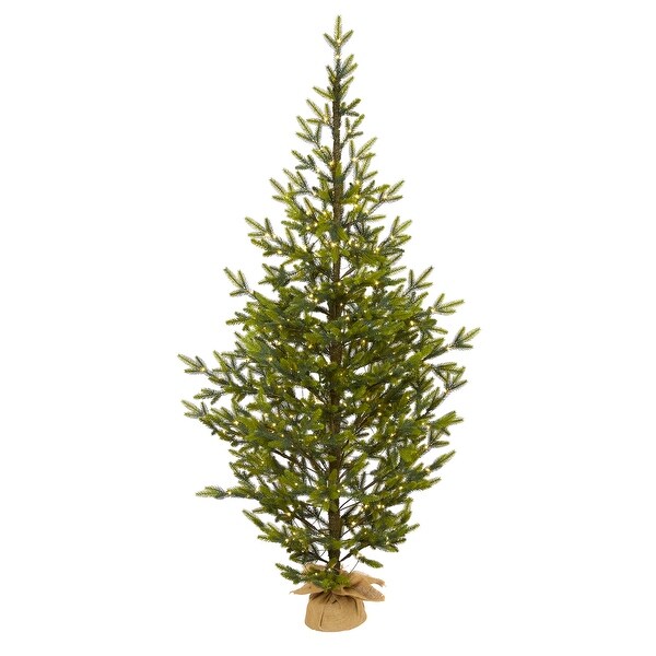 6' Fraser Fir Natural Look Christmas Tree with 250 Clear LED Lights