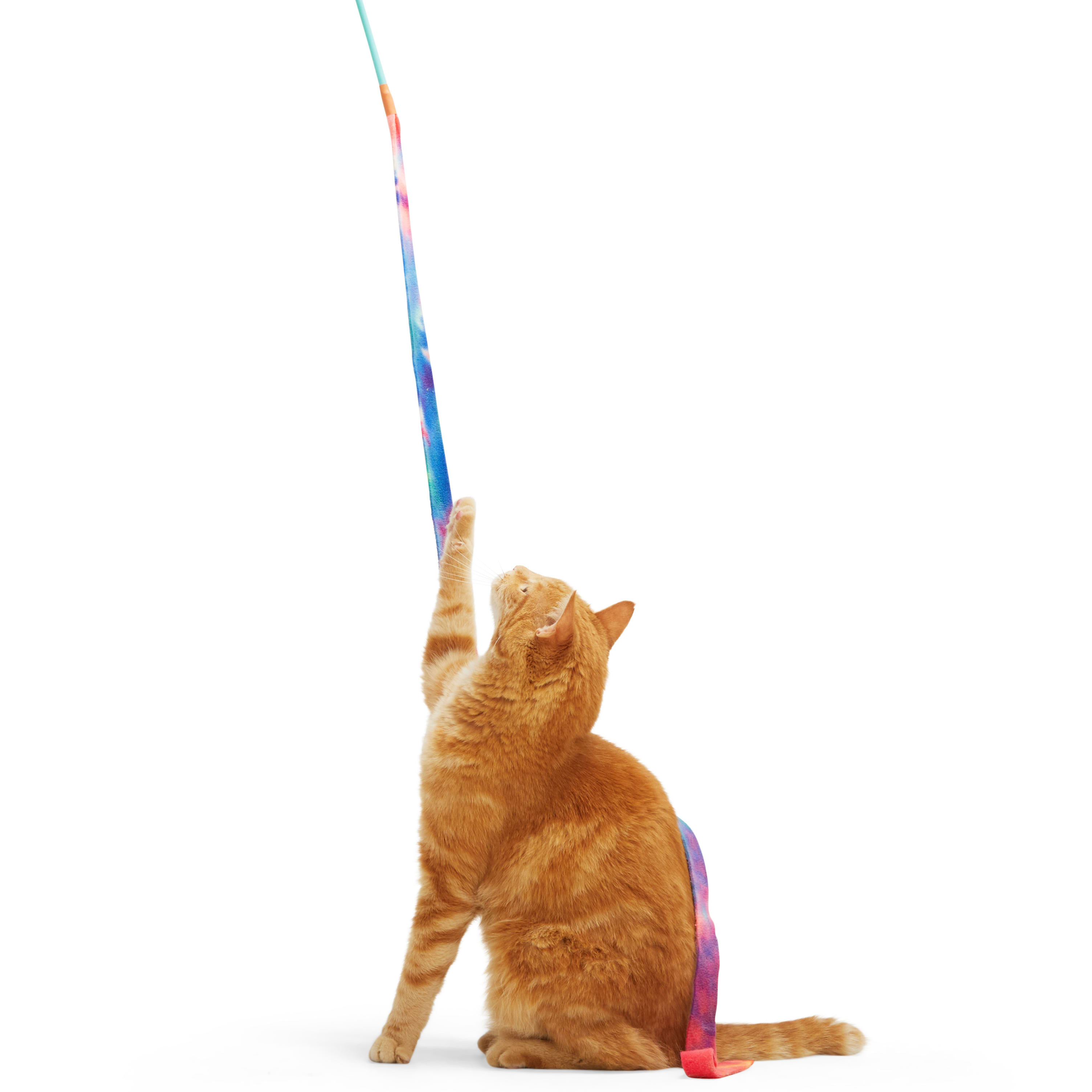 Leaps  Bounds Rainbow Teaser Cat Toy， X-Large