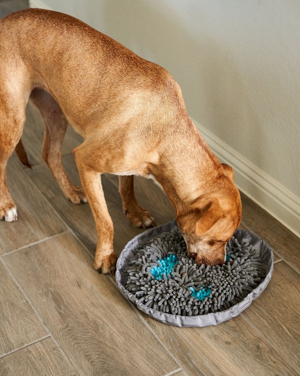 Pet Parents Forager Snuffle Mat and Slow Feeder Dog Bowl