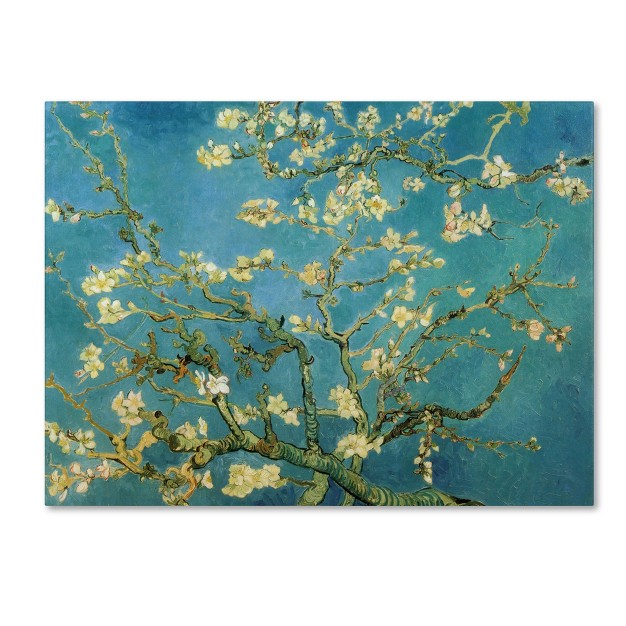 Trademark Fine Art vincent Van Gogh x27 almond Branches In Bloom 1890 x27 Canvas Art