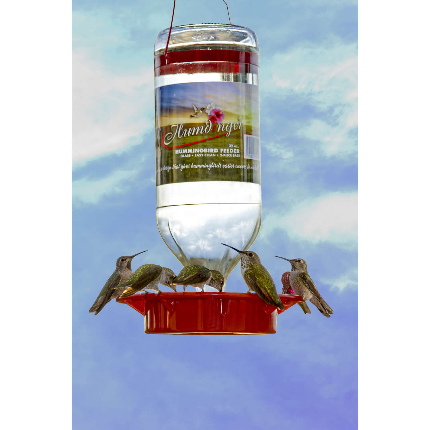 Humdinger Hummingbird 32 oz Glass Bottle Nectar Feeder 8 ports