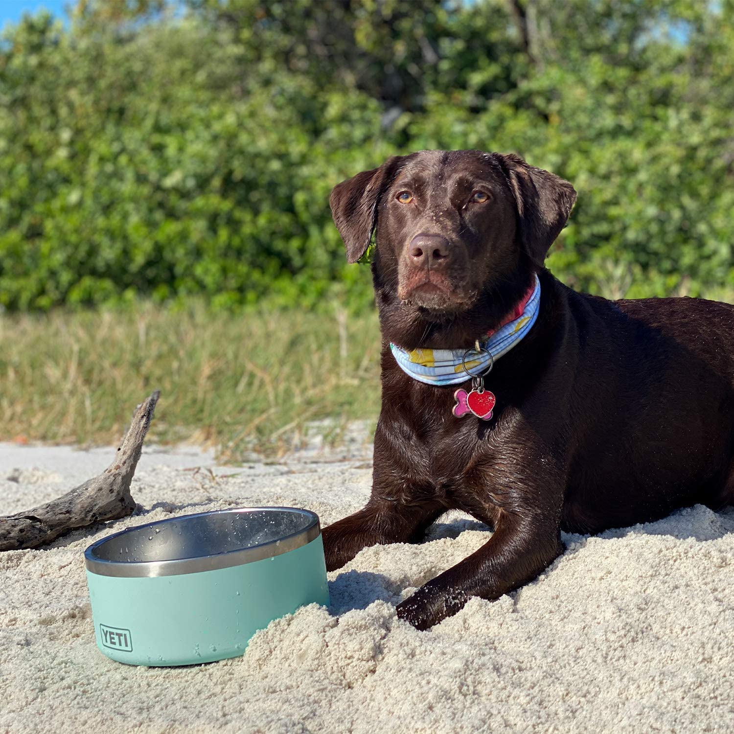 YETI Boomer 8， Stainless Steel， Non-Slip Dog Bowl， Holds 64 Ounces， Seafoam