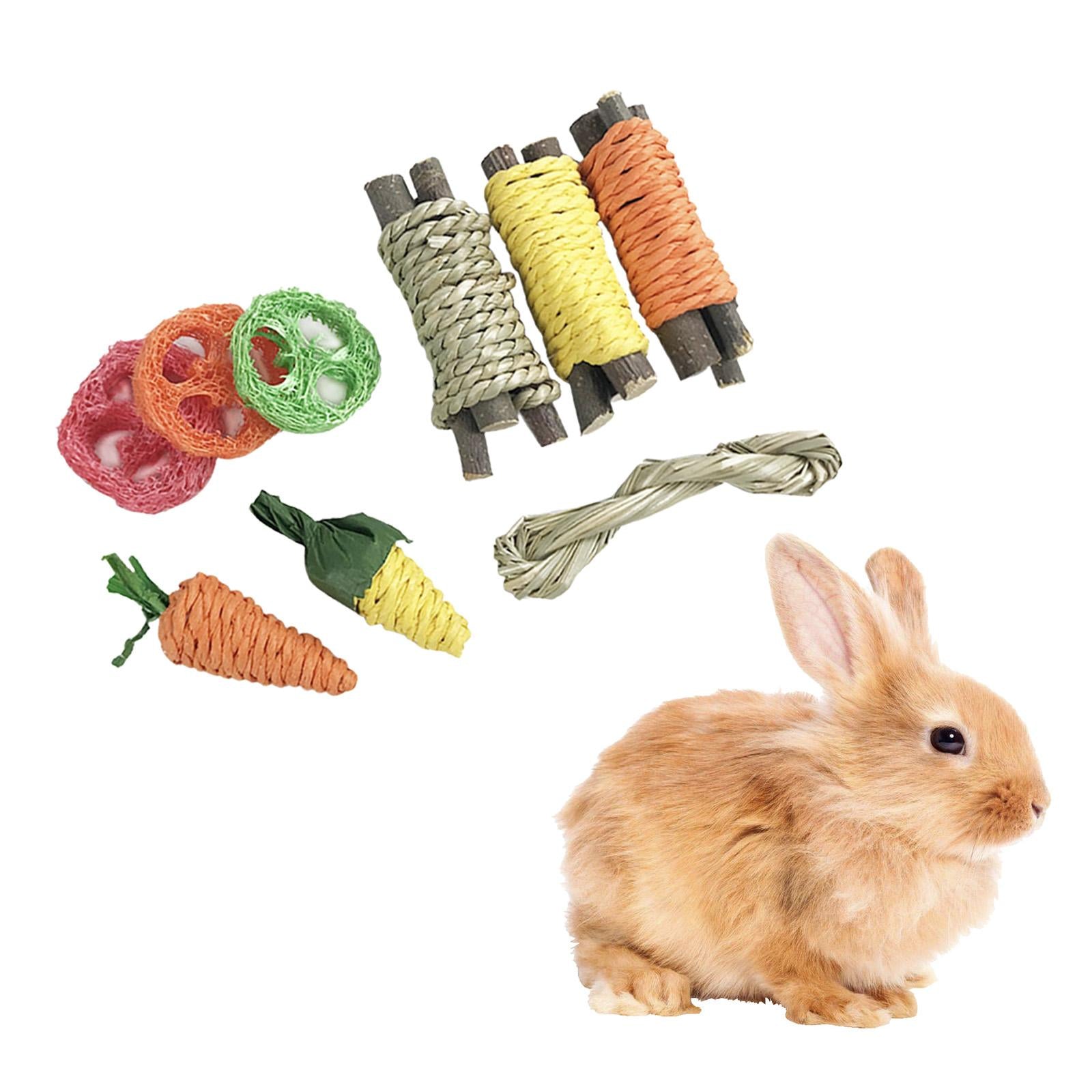 9Pcs Bunny Rabbit Chew Toys Tree Branch Corn Carrot Supplies