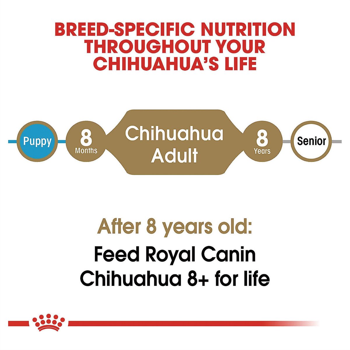 Royal Canin Breed Health Nutrition Chihuahua Adult Dry Dog Food