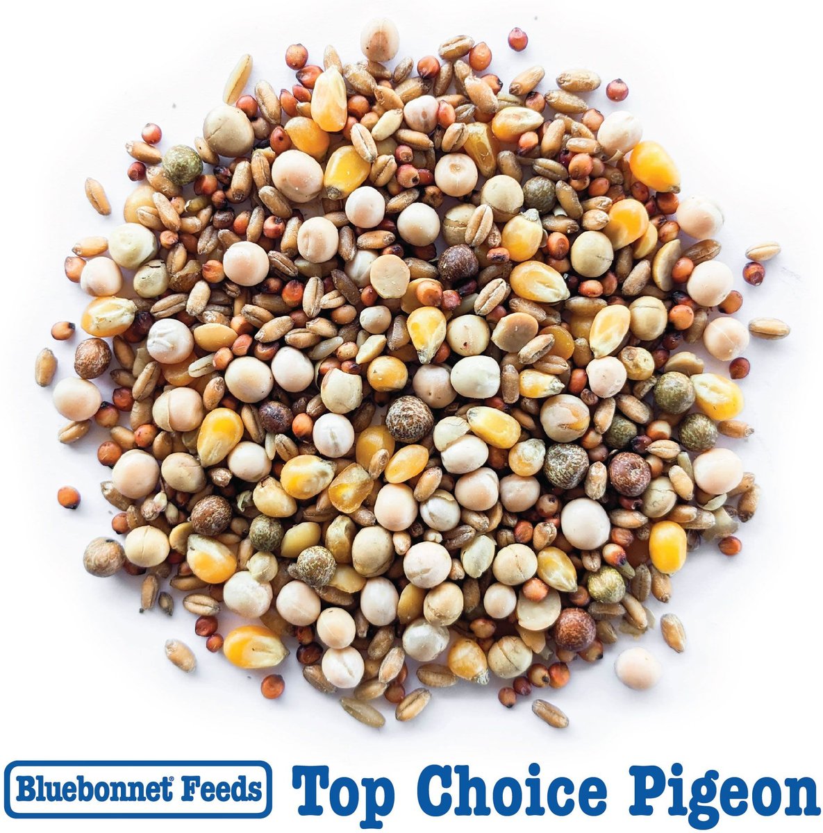 Bluebonnet Feeds Top Choice Pigeon Food， 50-lb bag