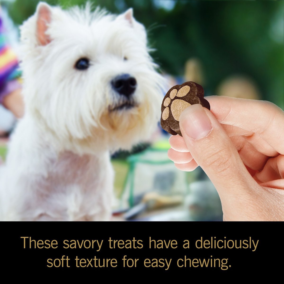 Cesar Softies Filet Mignon Dog Treats