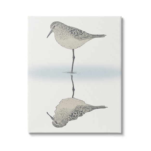 Stupell Industries Tranquil Sandpiper Bird Reflection Canvas Wall Art