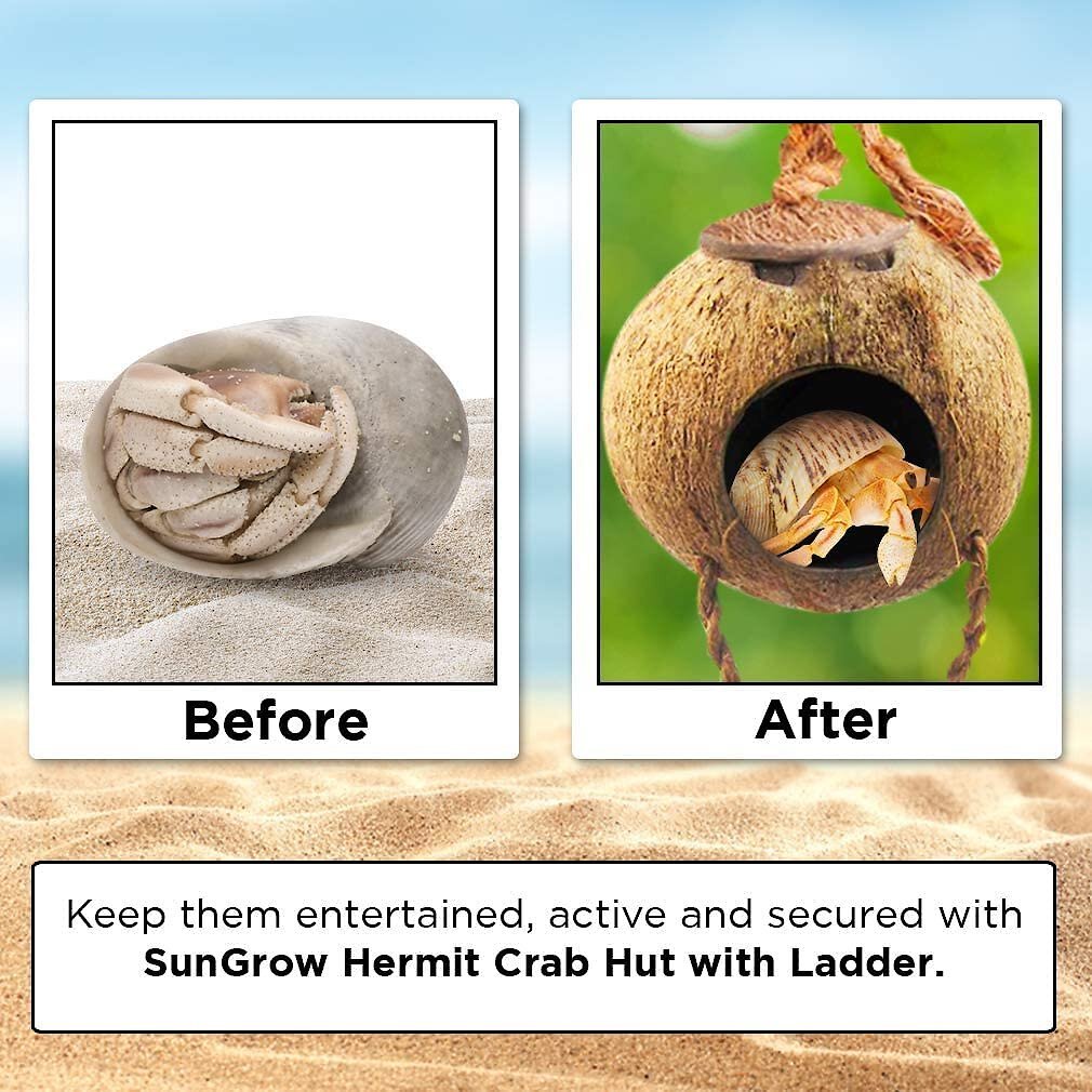 SunGrow Hermit Crab Coconut Climbing Habitat and Hideaway Cage w/ Ladder， Natural