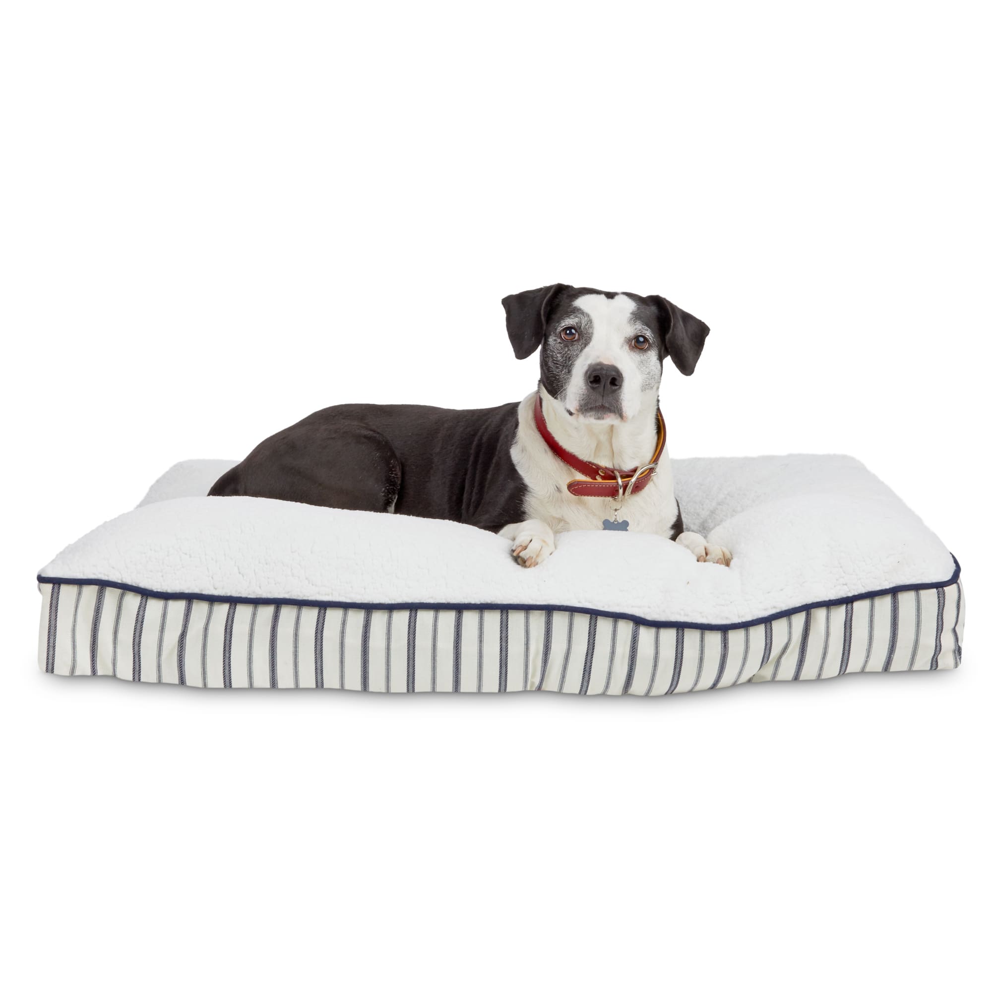 EveryYay Blue Nautical Striped Lounger Dog Bed， 40