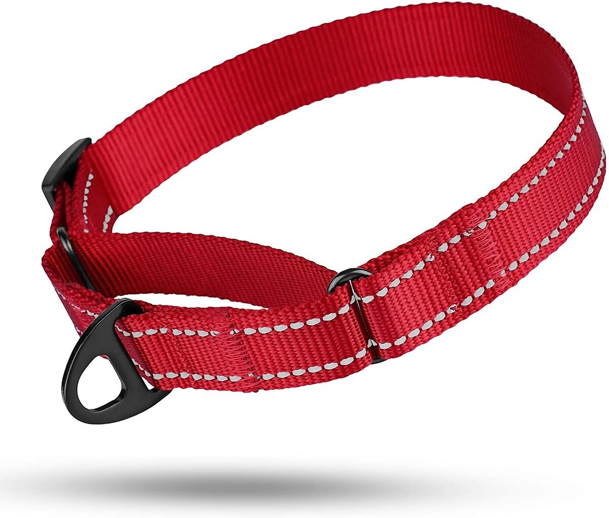 CollarDirect Reflective Martingale Nylon Dog Collar