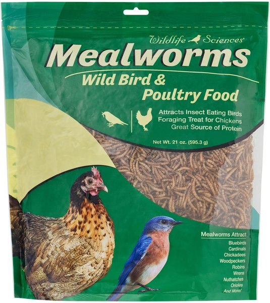 Wildlife Sciences Dried Mealworms， 21-oz bag