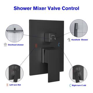 LORDEAR 2-Spray Patterns 12 in. Square Wall Mounted Luxury Rain Mixer Shower Combo Set Rainfall Dual Shower Heads in Black H-SLF16006-B