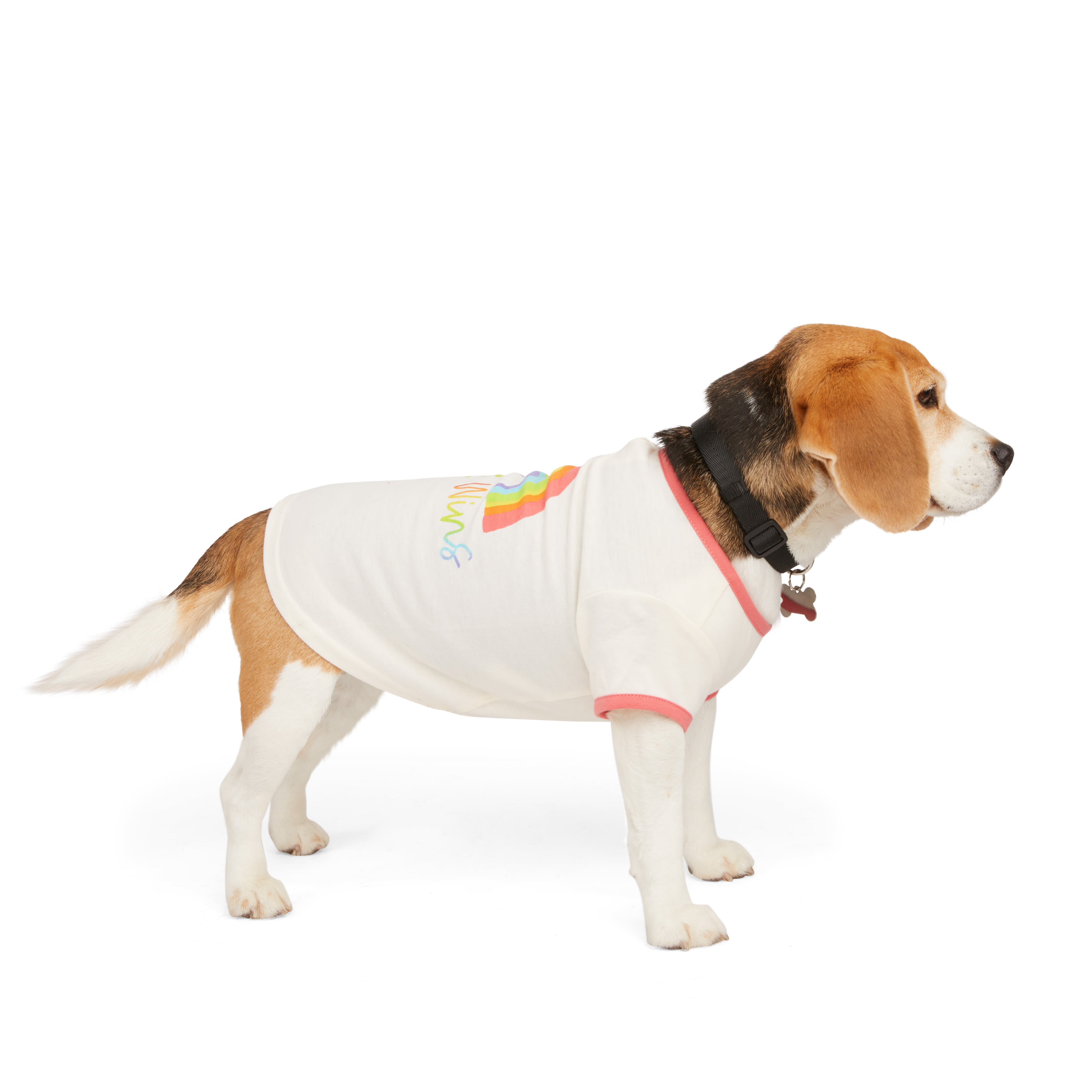 YOULY Pride Love Wins Dog Tee， X-Large