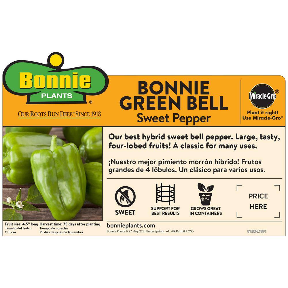 Bonnie Plants 19 oz. Sweet Green Bell Pepper Vegetable Plant 2100