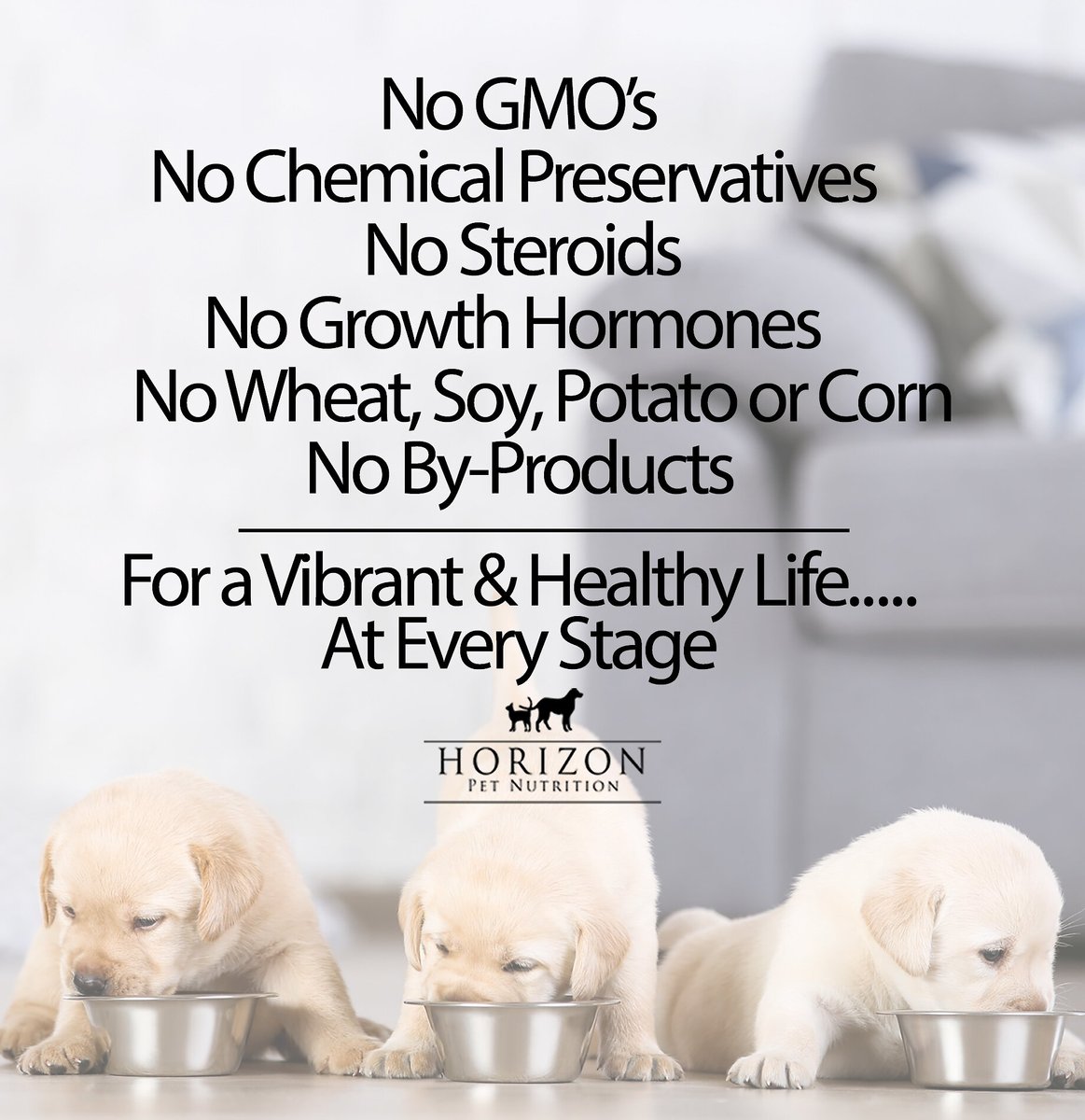 Horizon Complete All Life Stages Dry Dog Food