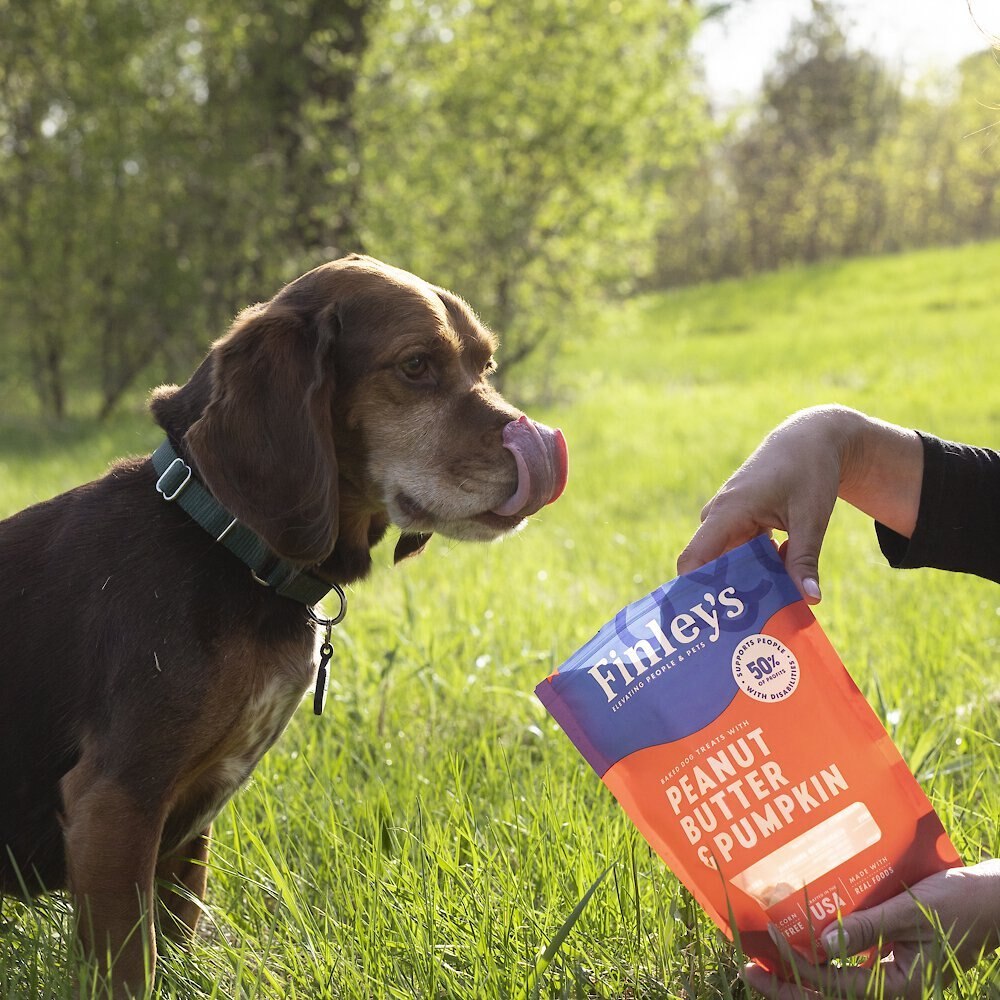 Finley's Barkery Wheat-Free Peanut Butter and Pumpkin Crunchy Biscuit Dog Treats