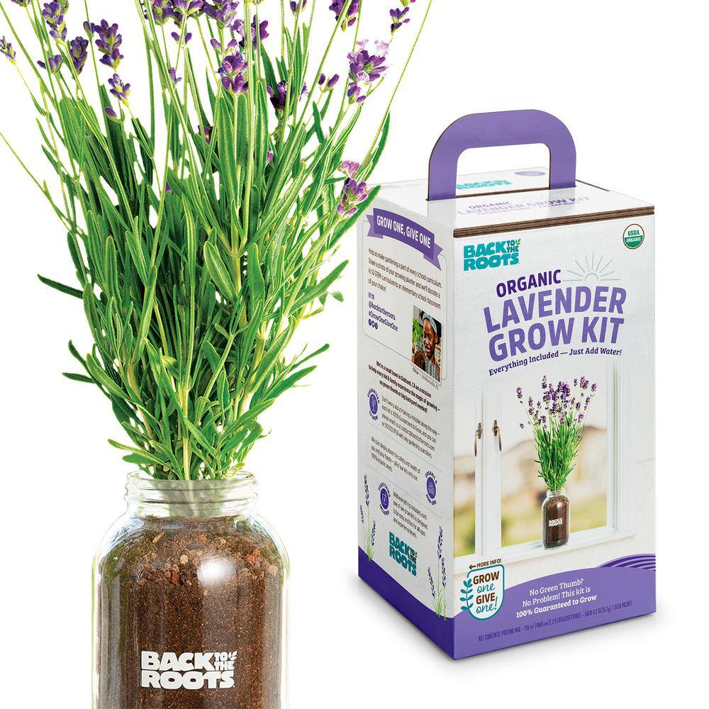Back to the Roots Organic Lavender Grow Kit 25500
