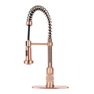 Fontaine by Italia Single-Handle 1 or 3 Hole Residential Pull-Down Sprayer Kitchen Faucet with 2-Spray Heads in Antique Copper N96565FC-DP-AC